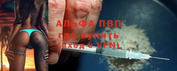 сатива Армянск