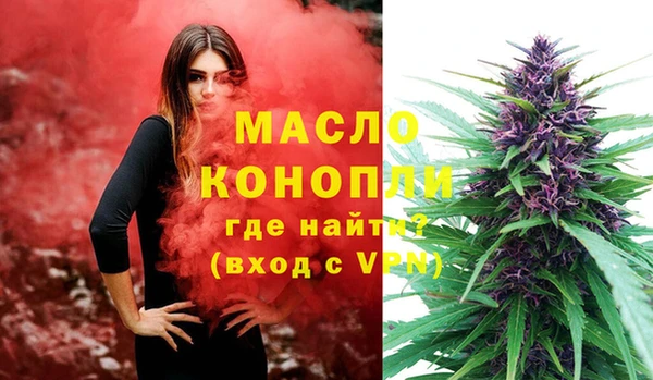 шишки Аркадак