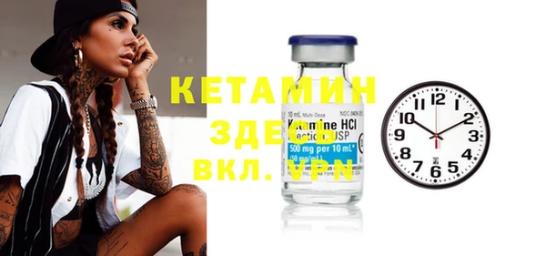 шишки Аркадак
