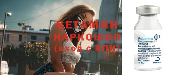 сатива Армянск