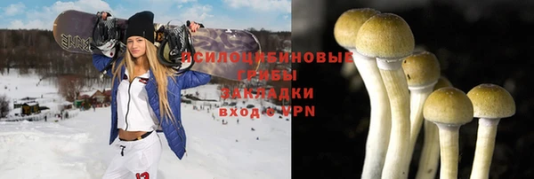 сатива Армянск