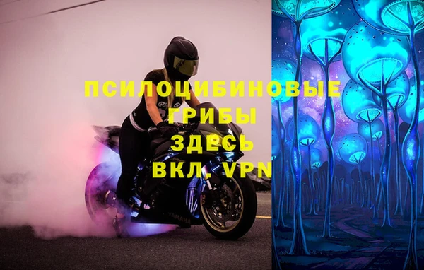 ешки Арсеньев