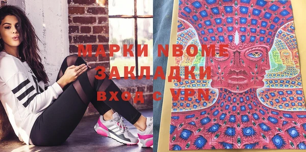 шишки Аркадак