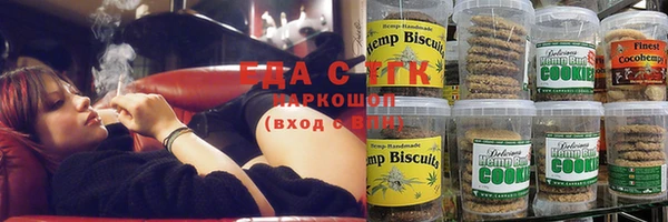 шишки Аркадак